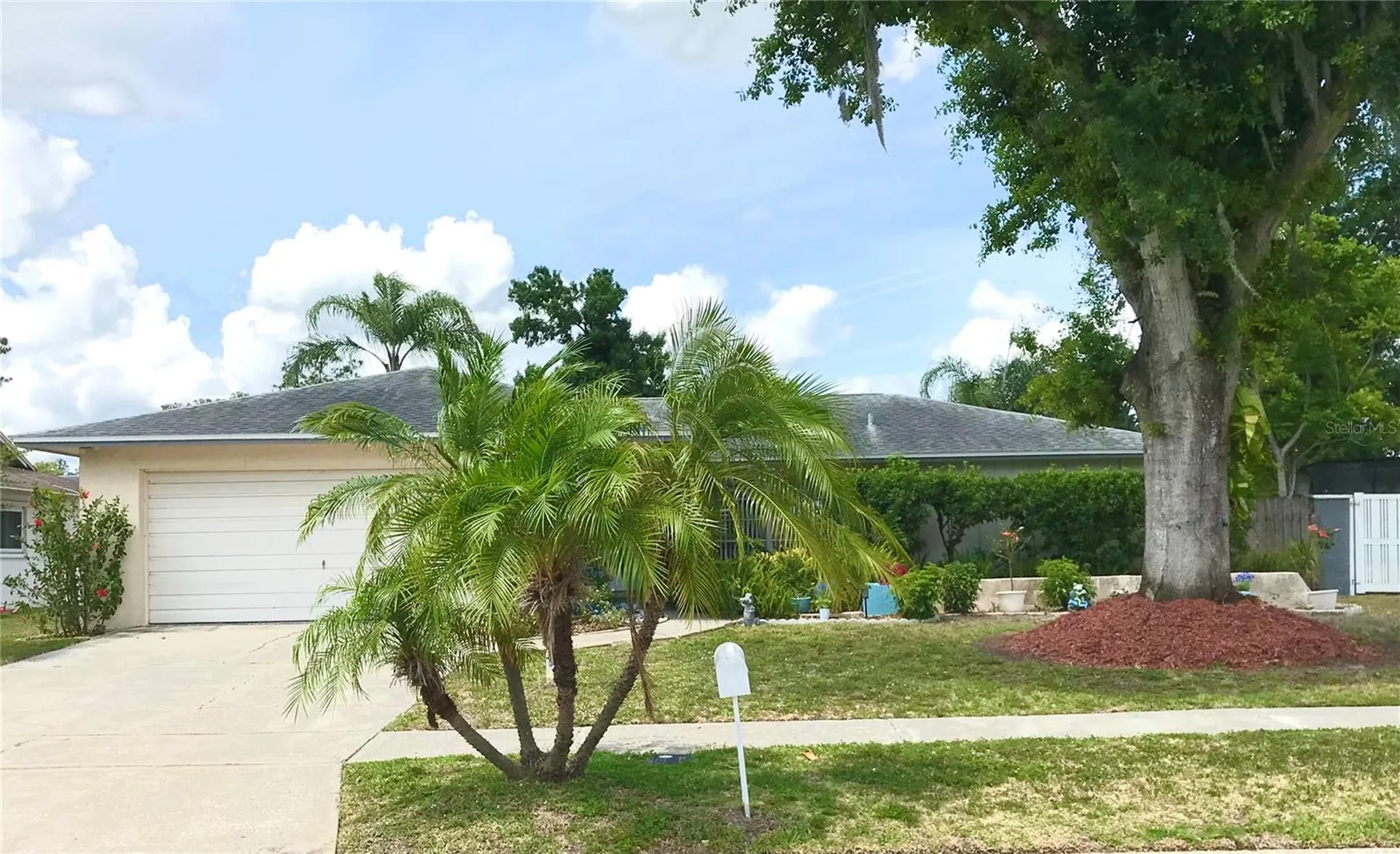 5205 Ripple Creek Drive Tampa FL 33625