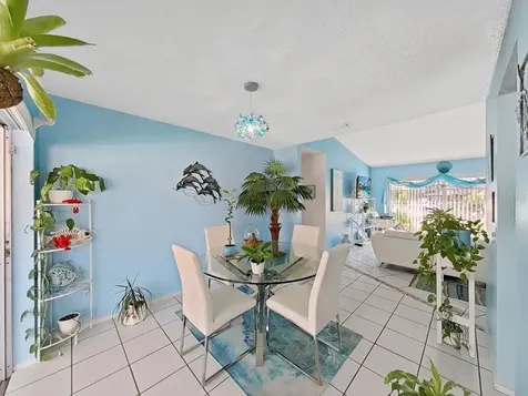 5205 Ripple Creek Drive Tampa FL 33625