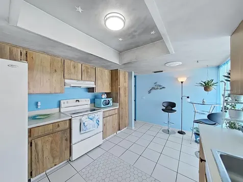 5205 Ripple Creek Drive Tampa FL 33625