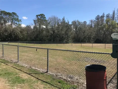 5205 Ripple Creek Drive Tampa FL 33625