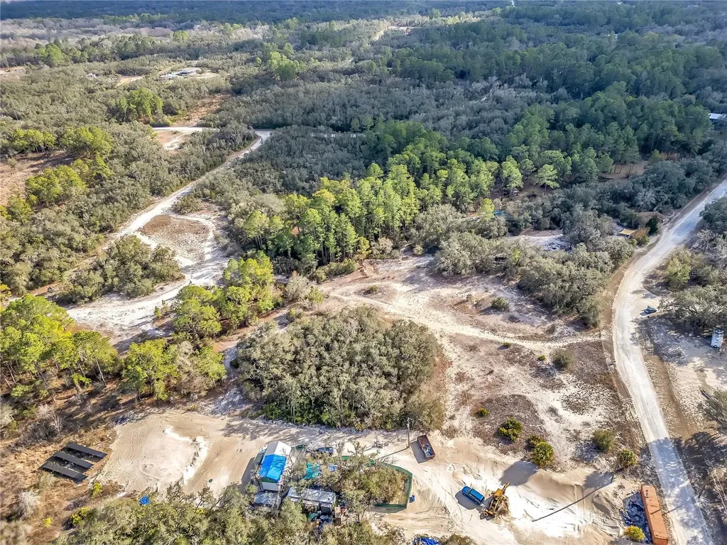 Goodstone Drive Webster FL 33597