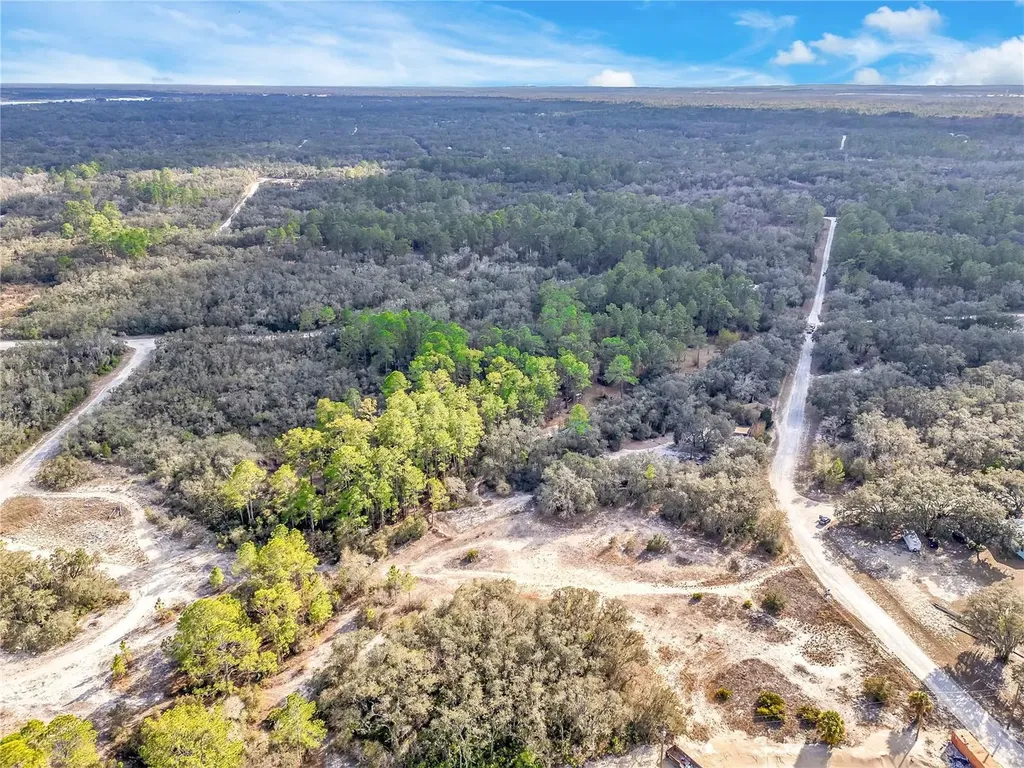 Goodstone Drive Webster FL 33597