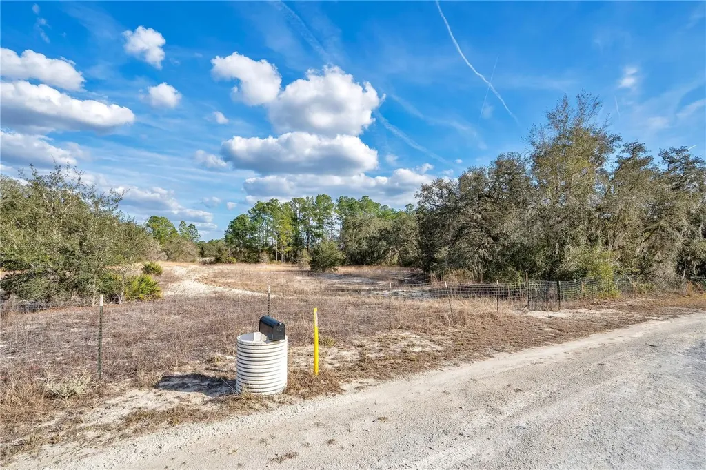 Goodstone Drive Webster FL 33597