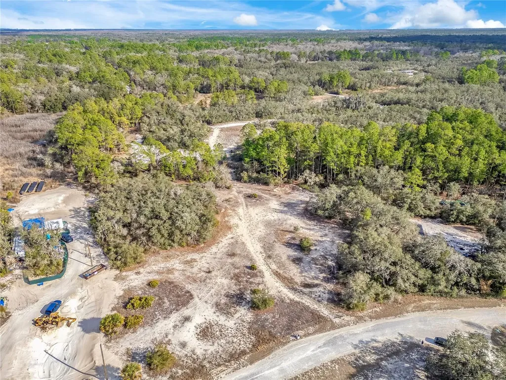 Goodstone Drive Webster FL 33597