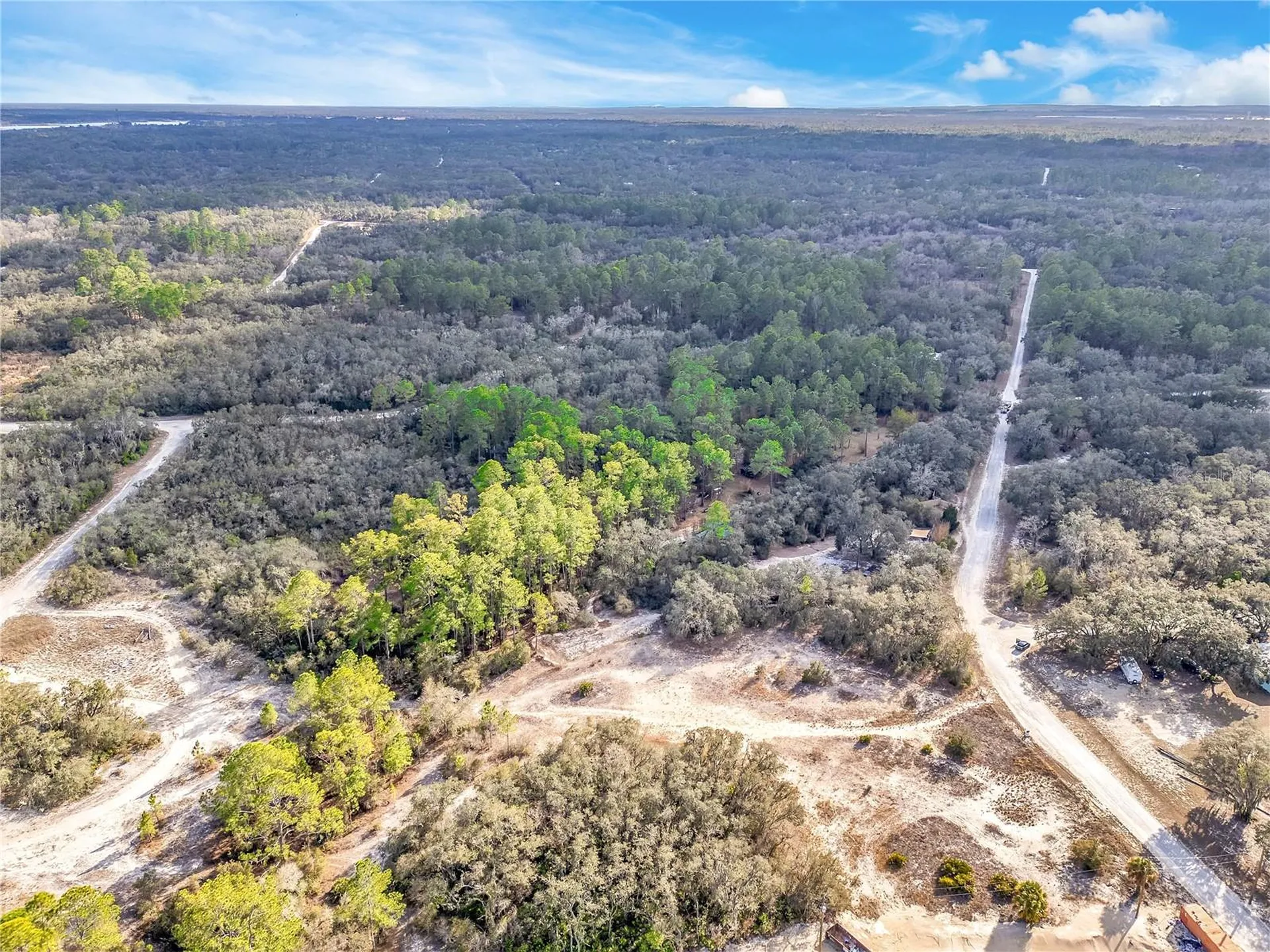 Goodstone Drive Webster FL 33597