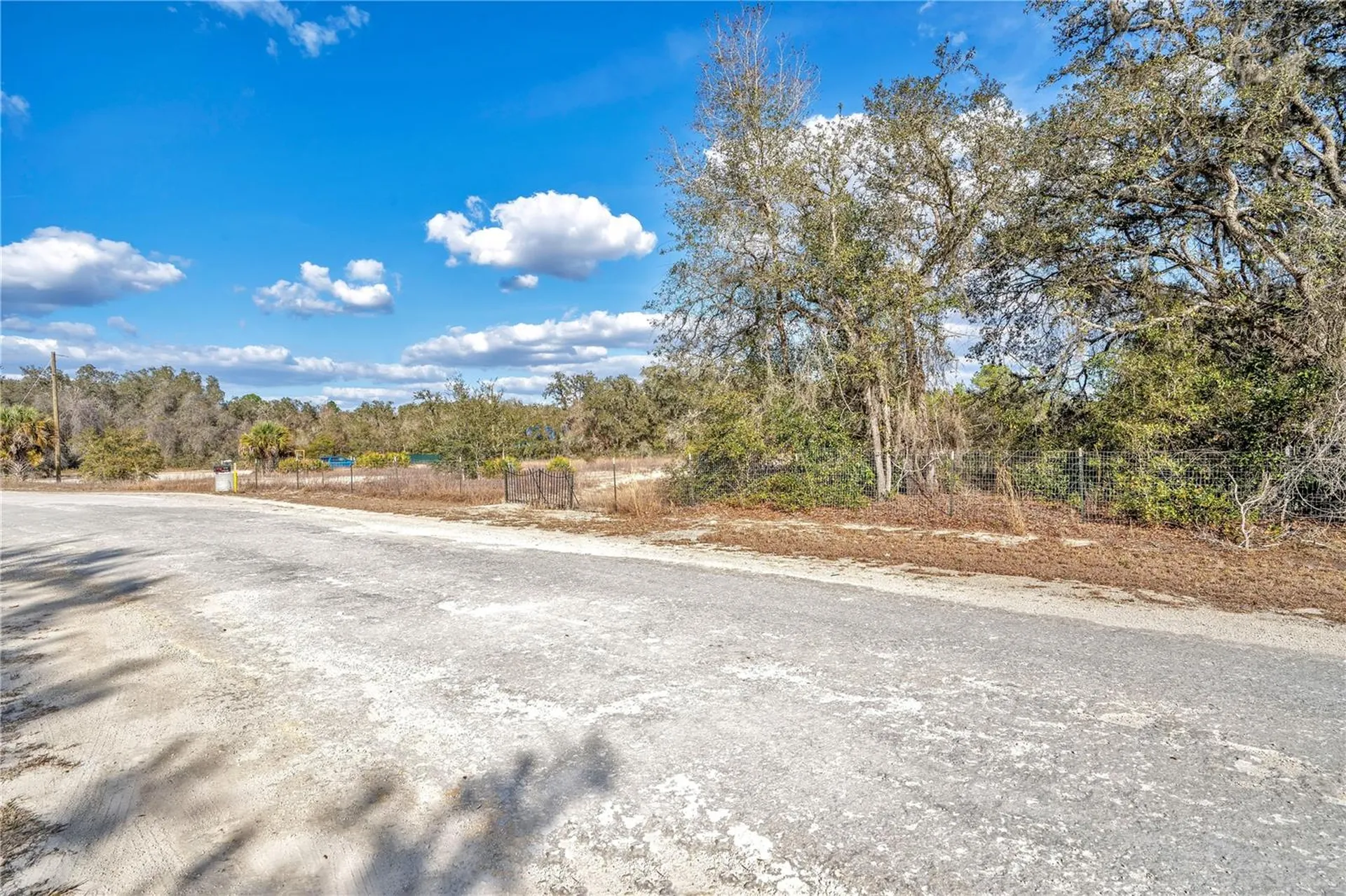 Goodstone Drive Webster FL 33597