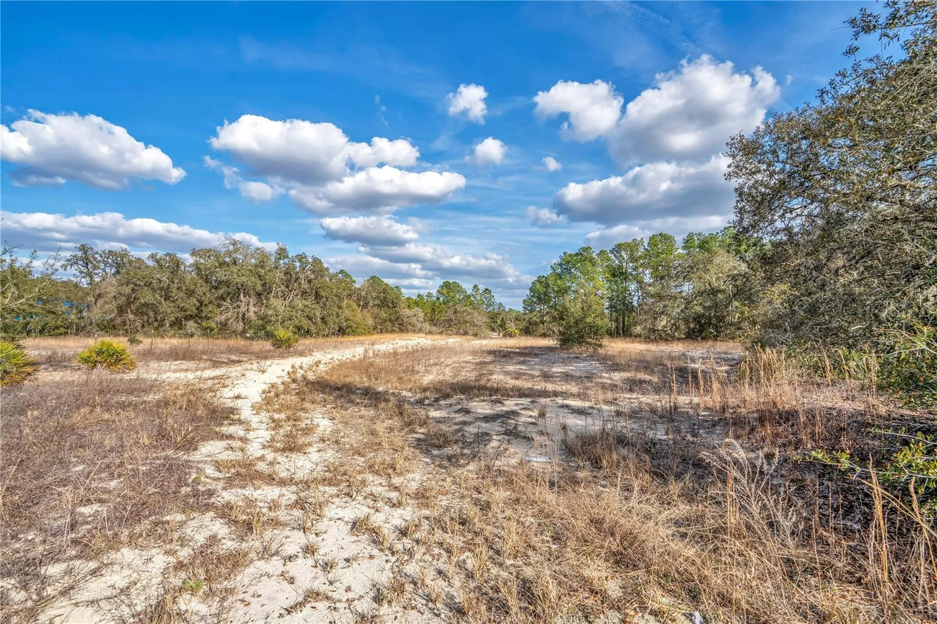 Goodstone Drive Webster FL 33597