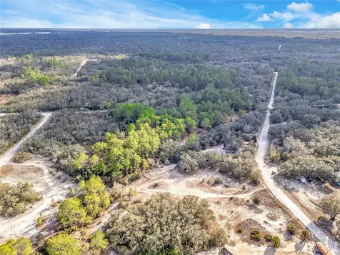 Goodstone Drive Webster FL 33597