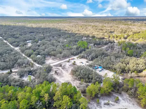 Goodstone Drive Webster FL 33597