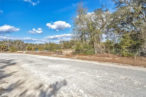 Goodstone Drive Webster FL 33597
