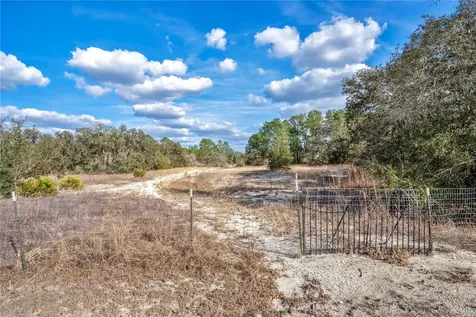Goodstone Drive Webster FL 33597