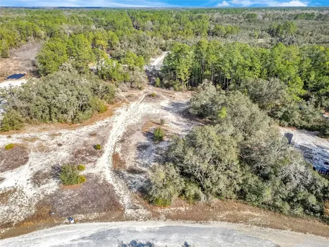 Goodstone Drive Webster FL 33597