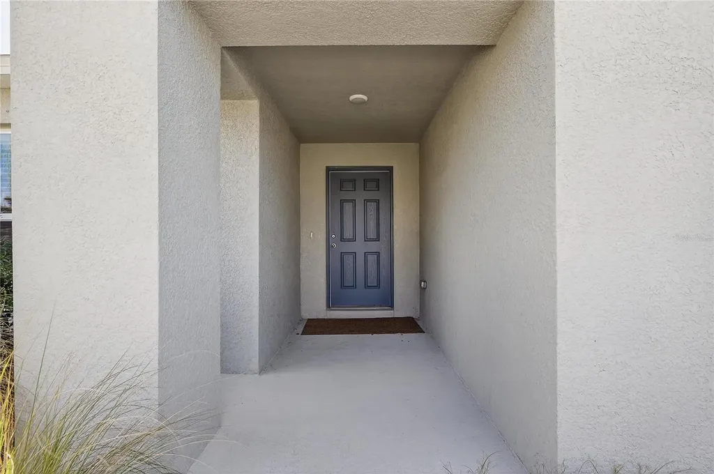 12775 Mangrove Forest Drive Riverview FL 33579