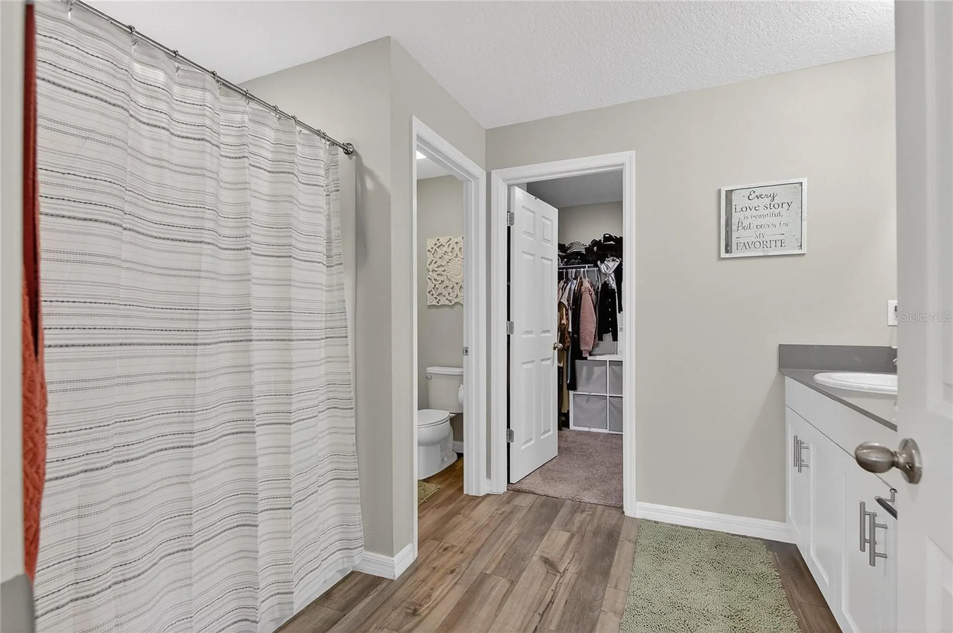 12775 Mangrove Forest Drive Riverview FL 33579