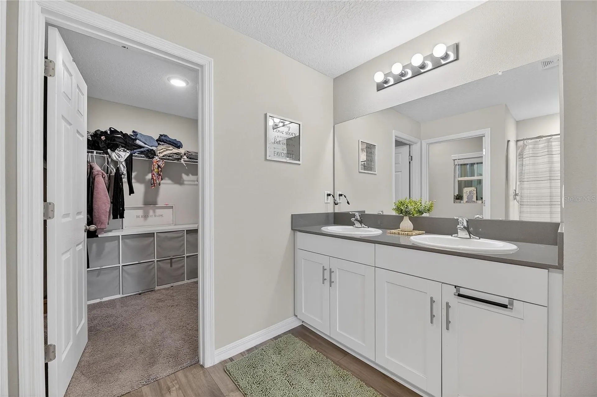 12775 Mangrove Forest Drive Riverview FL 33579
