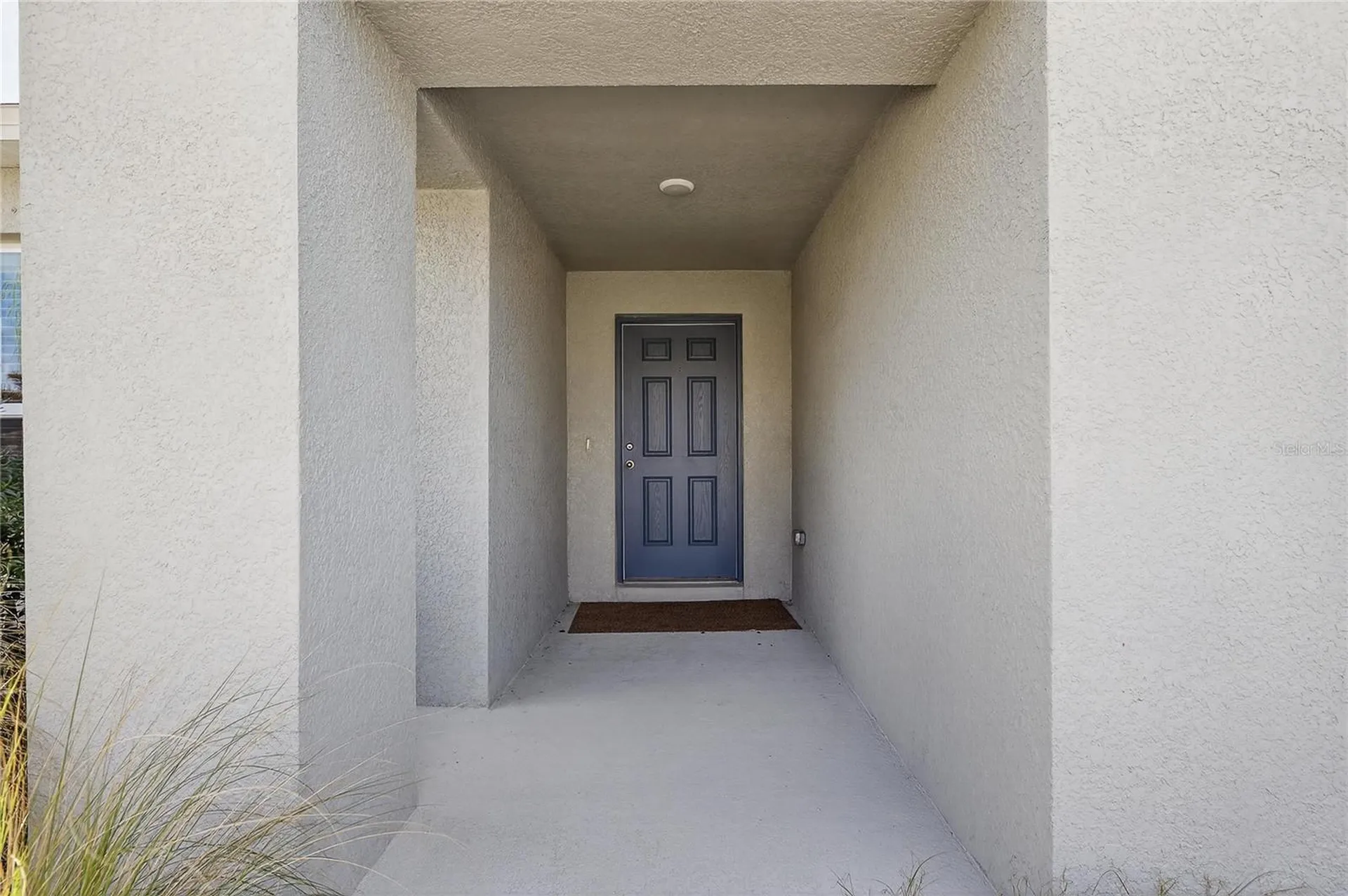 12775 Mangrove Forest Drive Riverview FL 33579