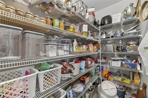 12775 Mangrove Forest Drive Riverview FL 33579