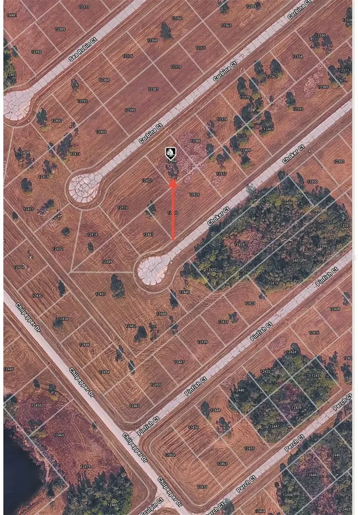 12394 Corbina Court Placida FL 33946