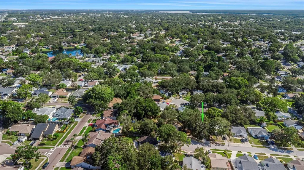 2761 Cactus Hill Place Palm Harbor FL 34684