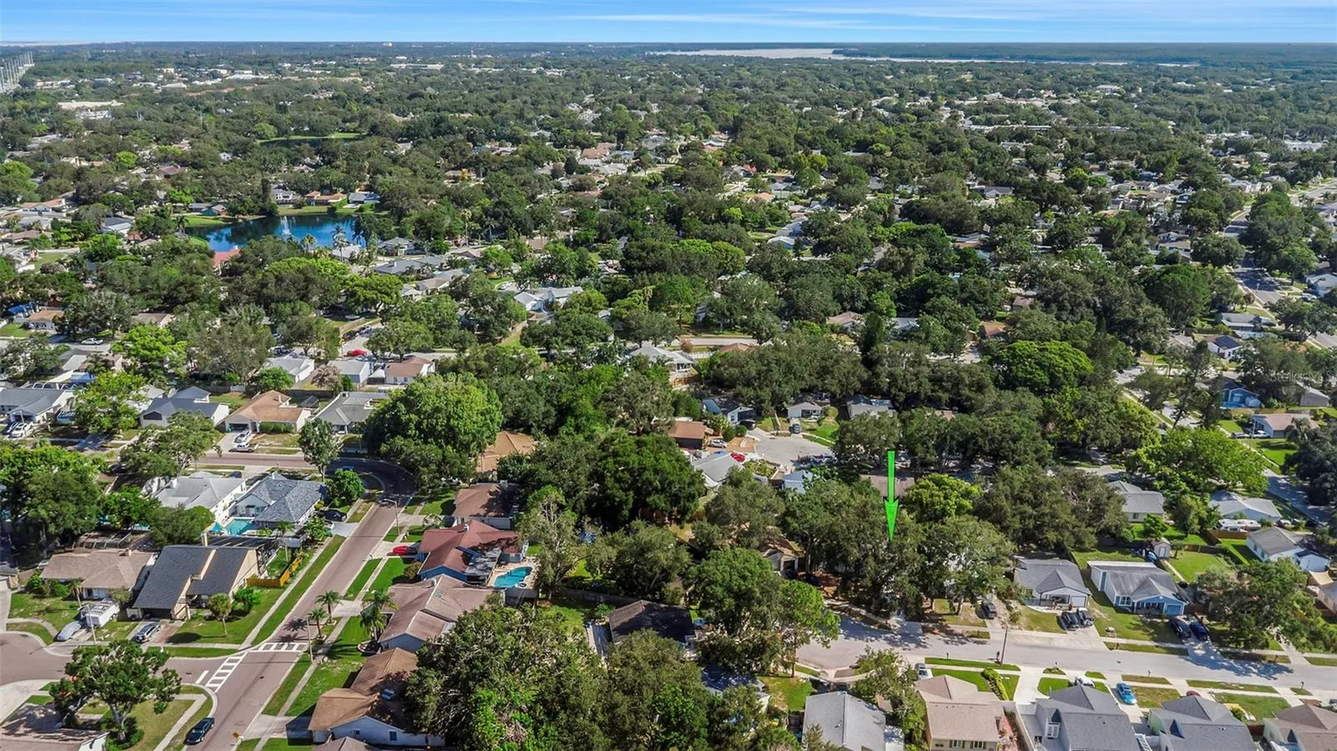 2761 Cactus Hill Place Palm Harbor FL 34684