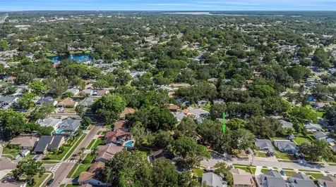 2761 Cactus Hill Place Palm Harbor FL 34684