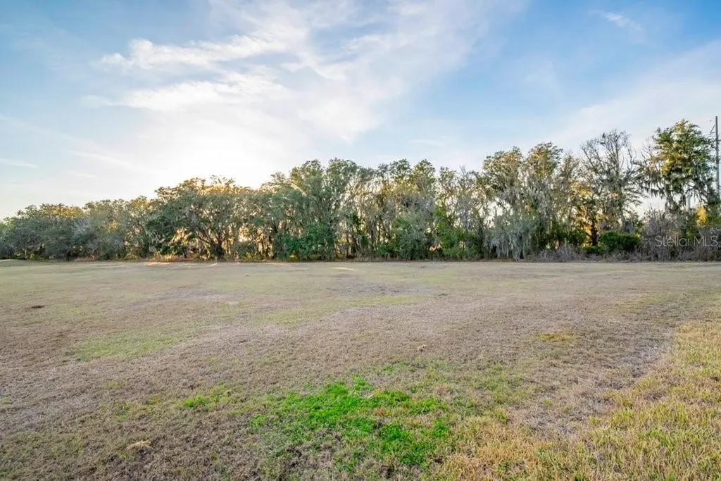 14604 Horse Trot Road Lithia FL 33547