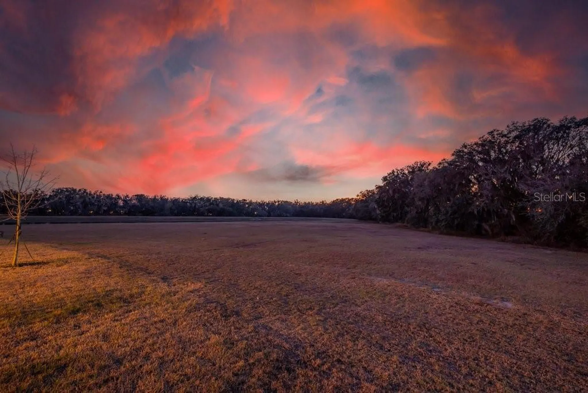 14604 Horse Trot Road Lithia FL 33547