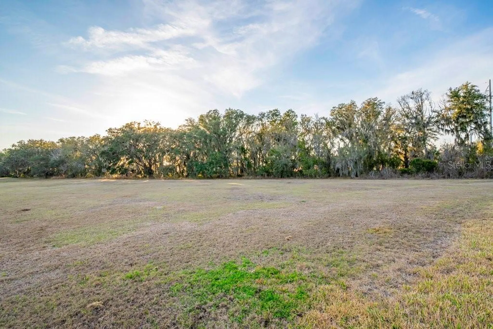 14604 Horse Trot Road Lithia FL 33547