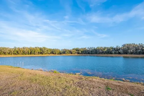 14604 Horse Trot Road Lithia FL 33547