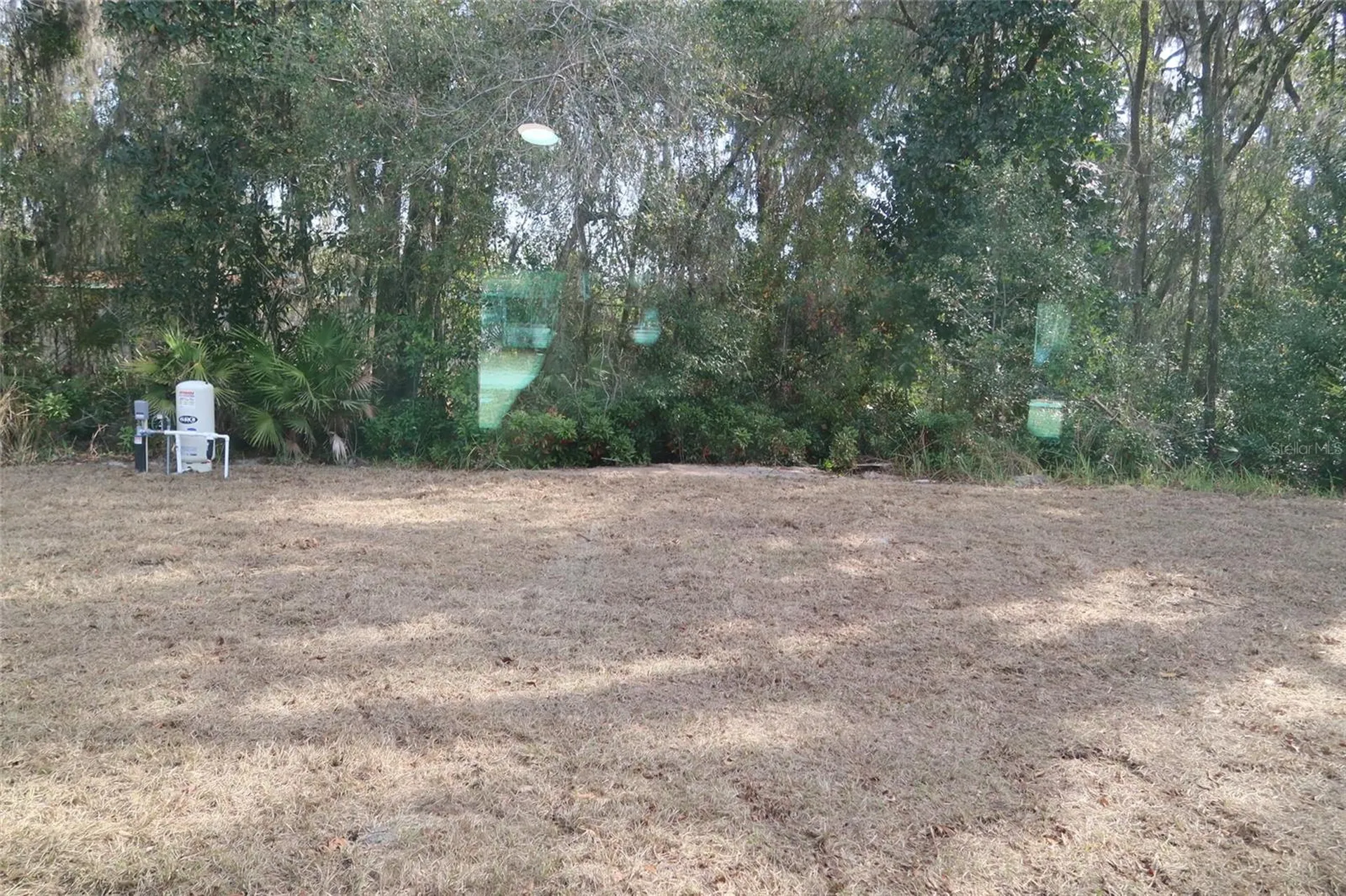 15045 SE 61st Court Summerfield FL 34491