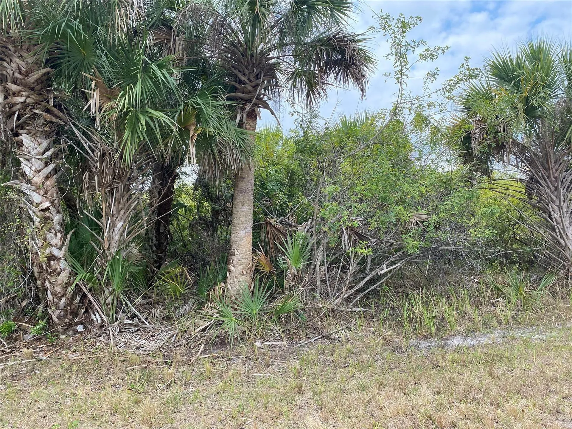 19225 Sherbrooke Avenue Port Charlotte FL 33954