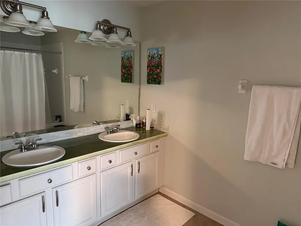 26612 Chimney Spire Lane Wesley Chapel FL 33544