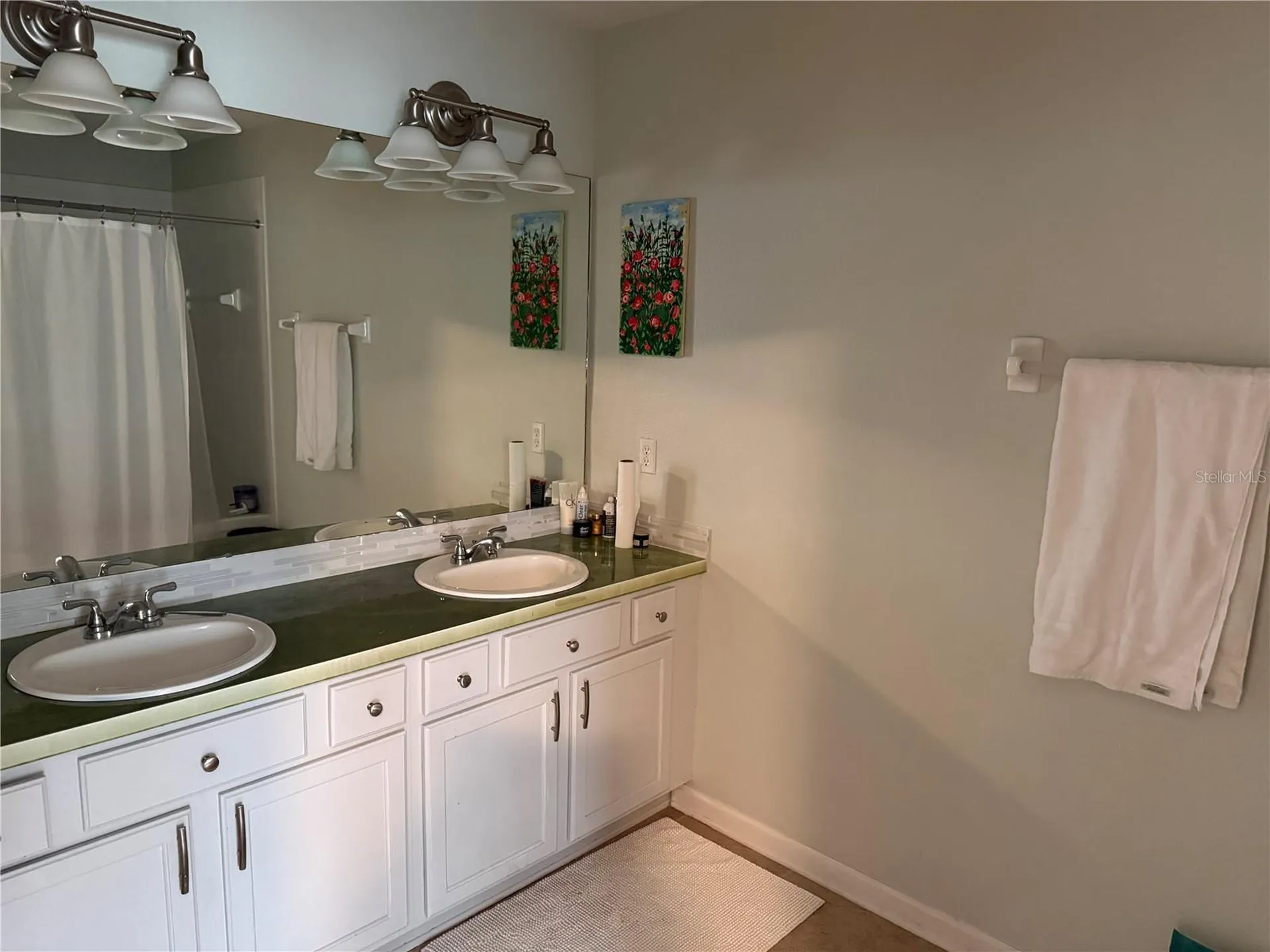 26612 Chimney Spire Lane Wesley Chapel FL 33544
