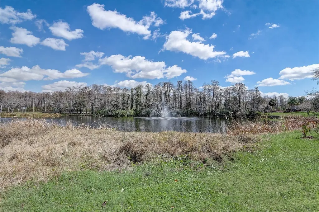 13941 Fairway Island Drive Orlando FL 32837