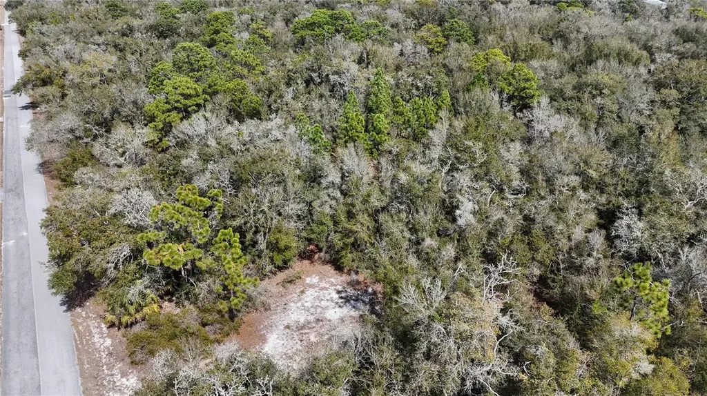 12786 W Cornflower Drive Crystal River FL 34428