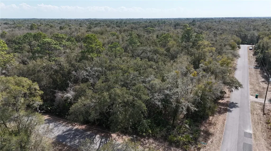 12786 W Cornflower Drive Crystal River FL 34428