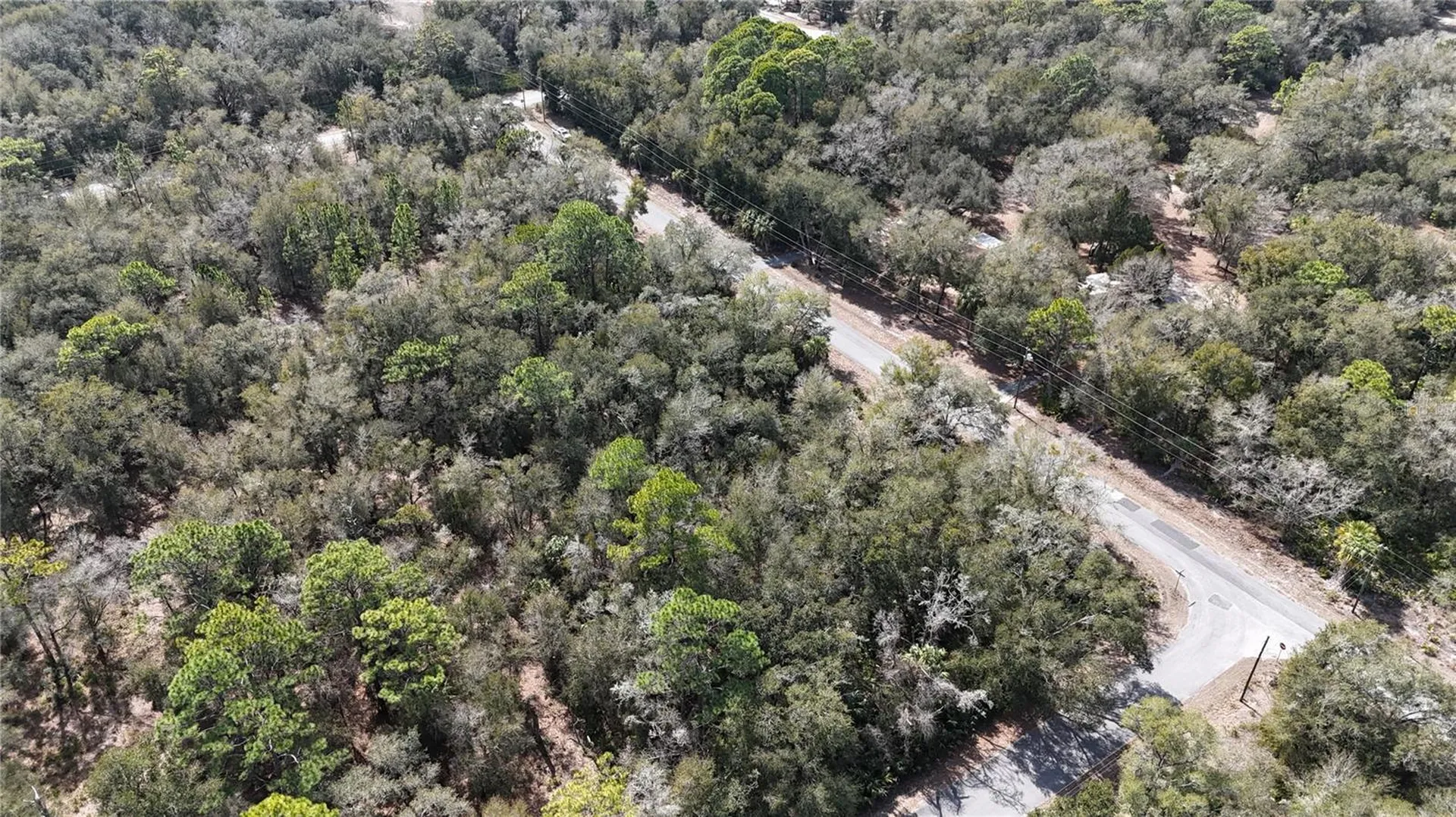 12786 W Cornflower Drive Crystal River FL 34428