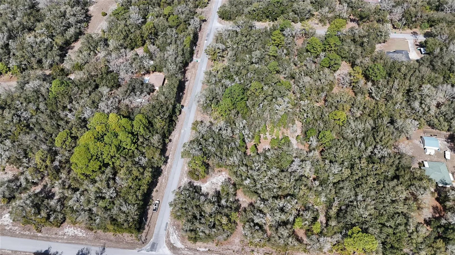 12786 W Cornflower Drive Crystal River FL 34428