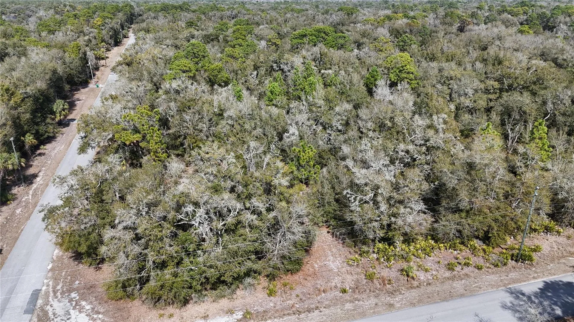 12786 W Cornflower Drive Crystal River FL 34428