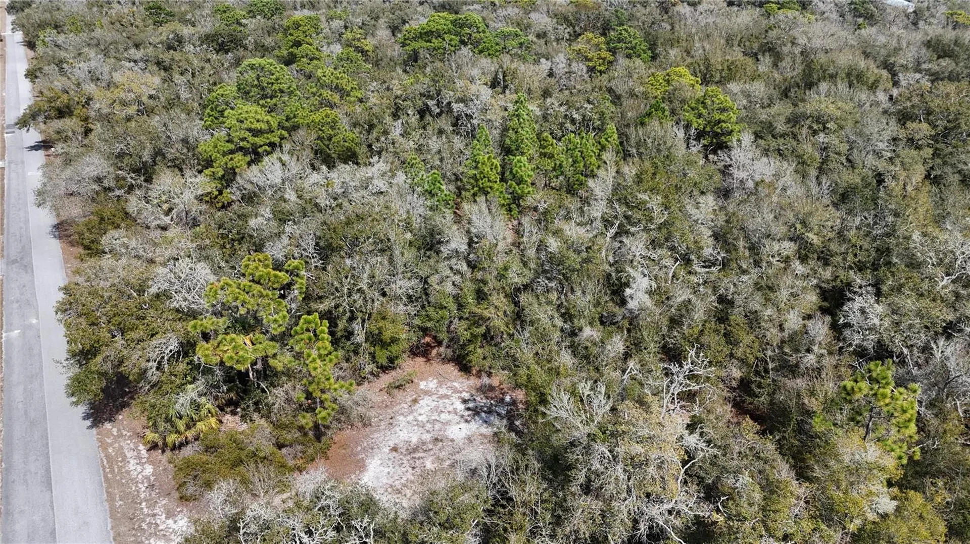 12786 W Cornflower Drive Crystal River FL 34428