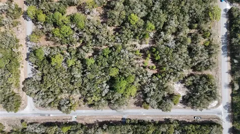 12786 W Cornflower Drive Crystal River FL 34428