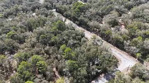 12786 W Cornflower Drive Crystal River FL 34428