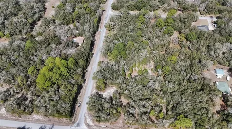 12786 W Cornflower Drive Crystal River FL 34428