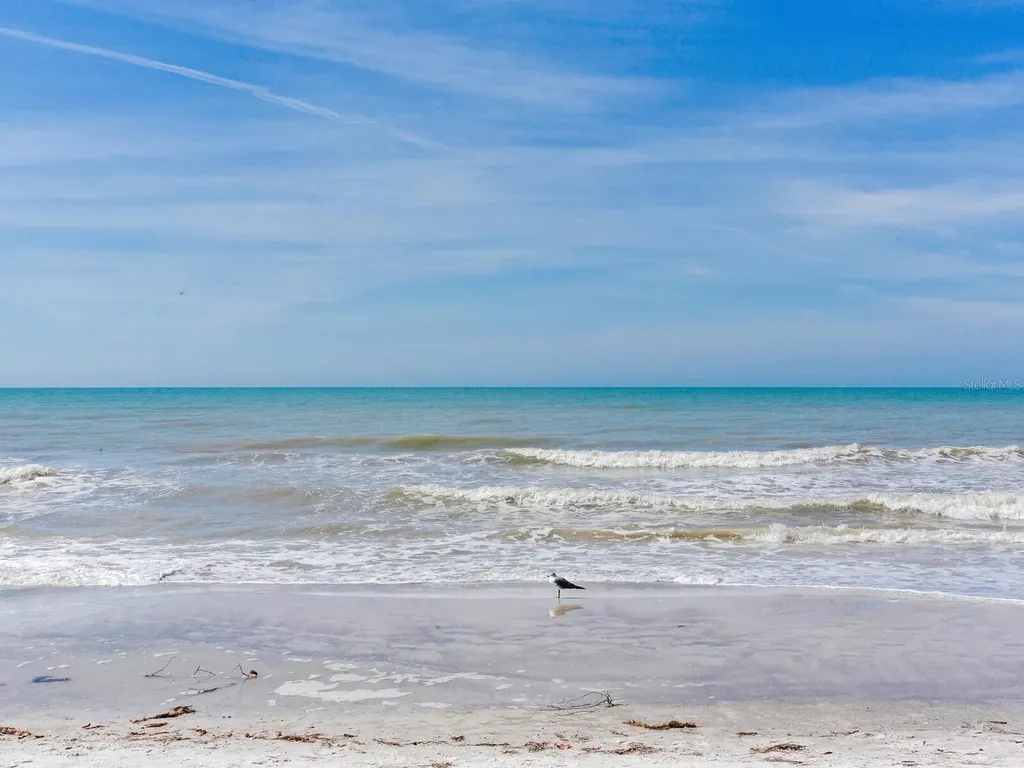 19450 Gulf Boulevard Indian Shores FL 33785