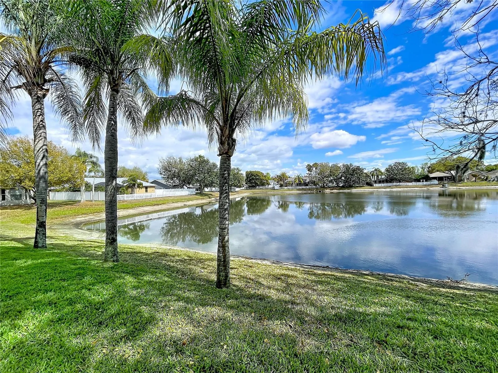 1210 Willow Bend Way Lutz FL 33549