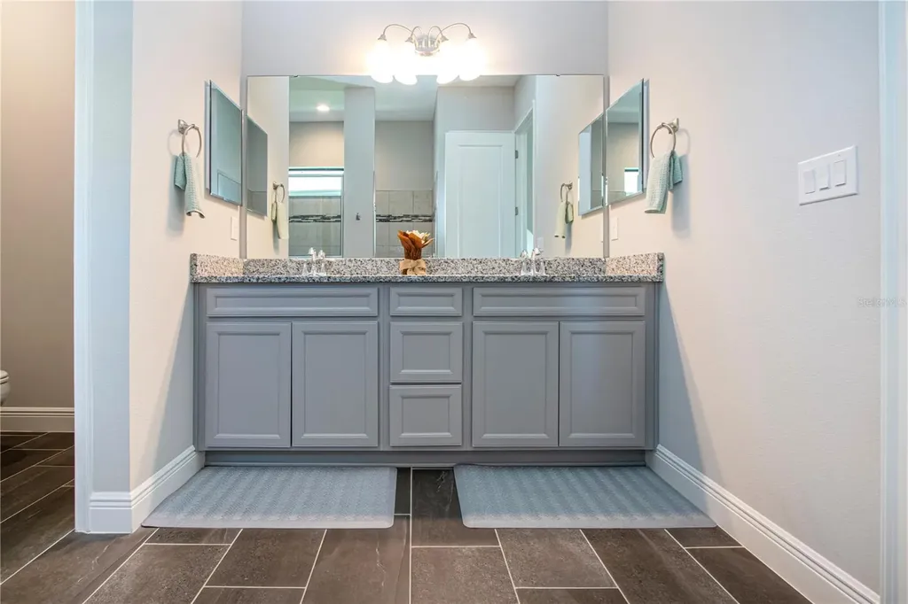 12623 Wheatgrass Court Parrish FL 34219
