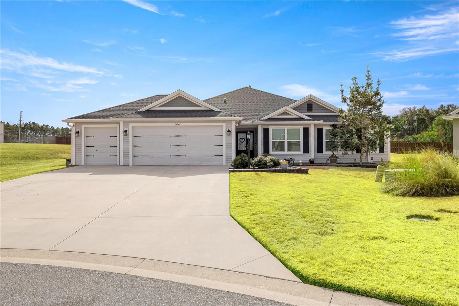 11041 White Terrace Oxford FL 34484