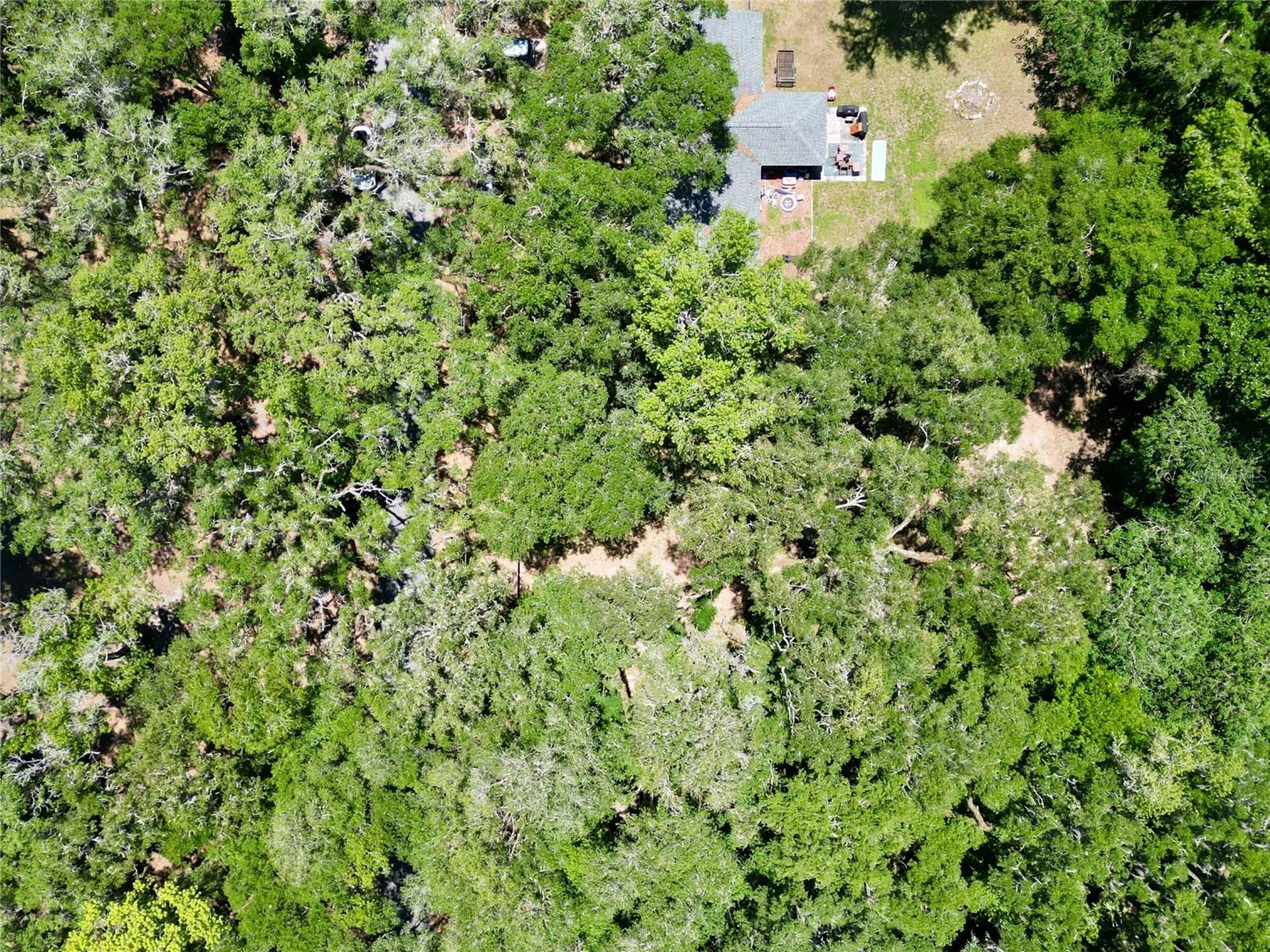 4602 SE 19th Avenue Ocala FL 34480