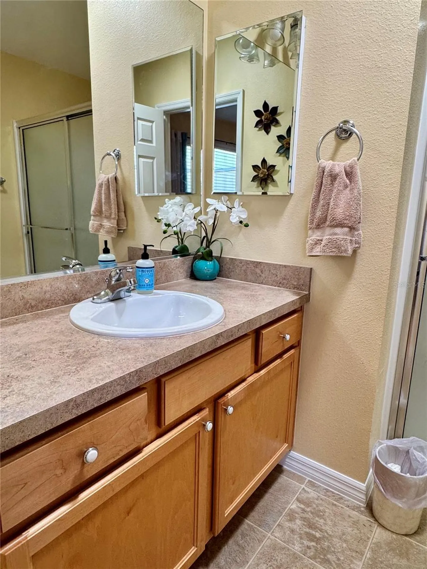 2569 Errol Terrace The Villages FL 32162