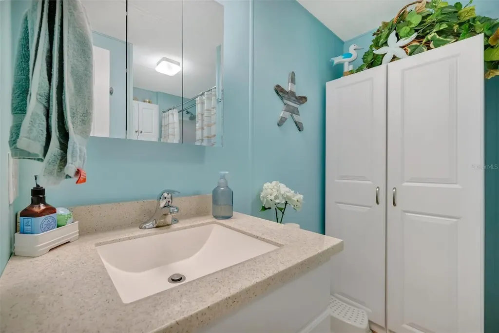 117 S Saint Thomas Circle Apollo Beach FL 33572
